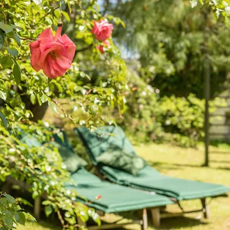 Ferienhaeuschen Fischbach Apartman *