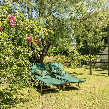 Apartment Ferienhaeuschen Fischbach Friedrichshafen